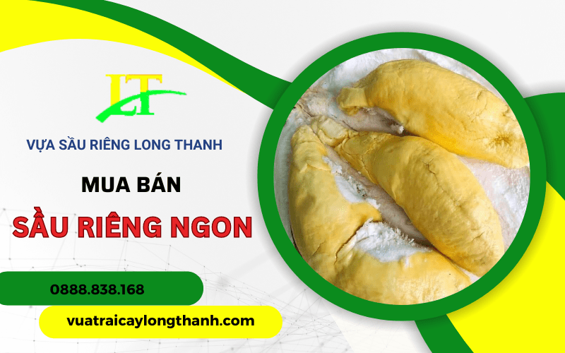 sầu riêng ngon