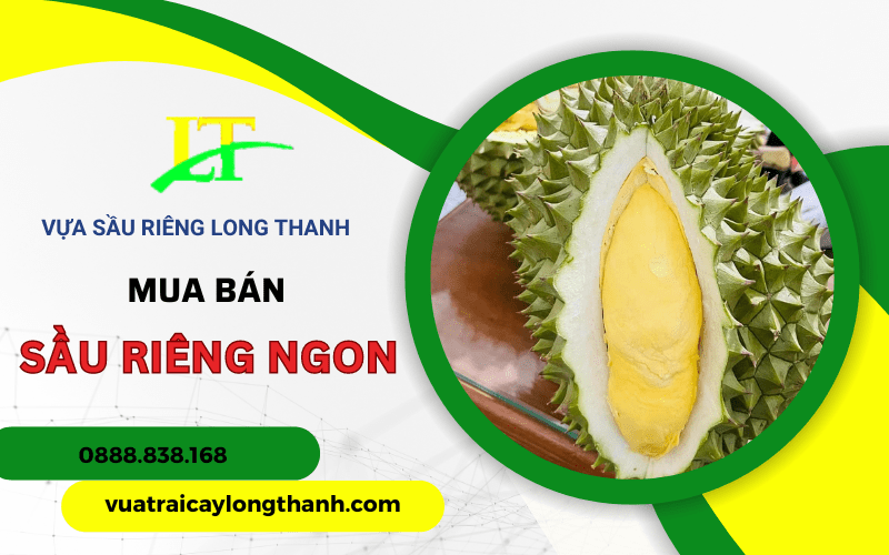 sầu riêng ngon