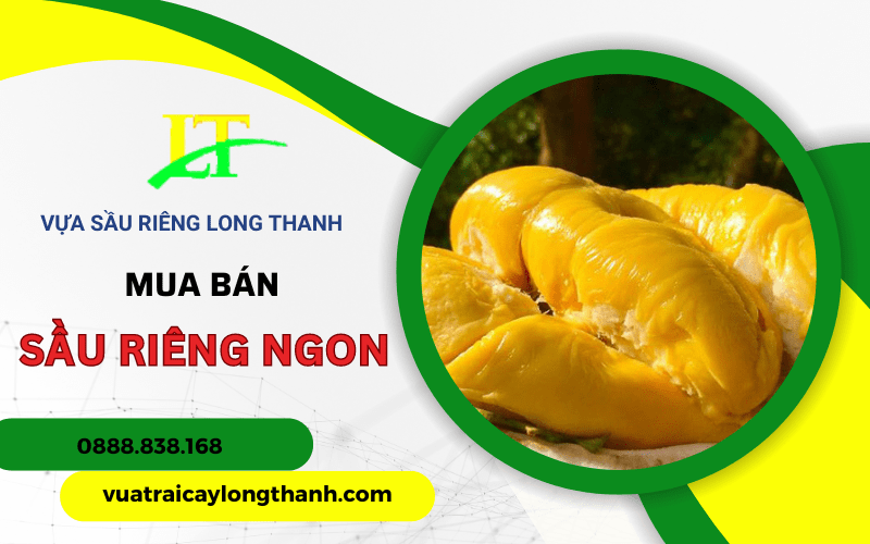 sầu riêng ngon