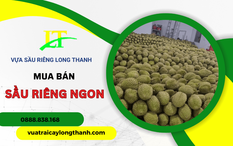 sầu riêng ngon