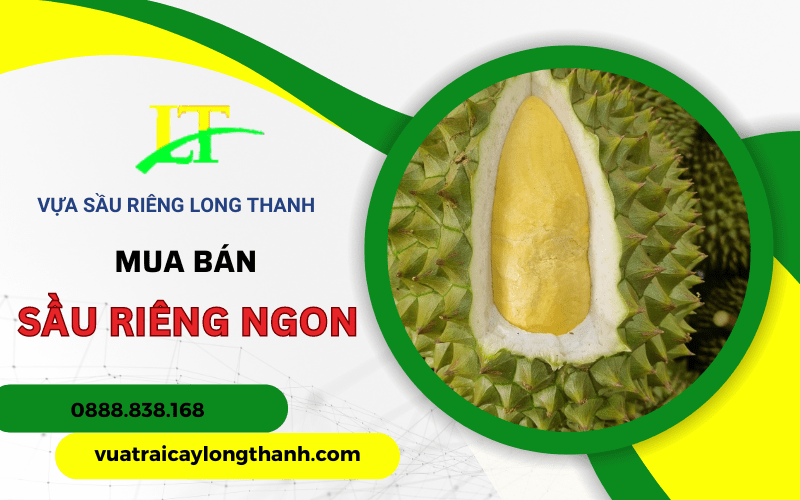 sầu riêng ngon