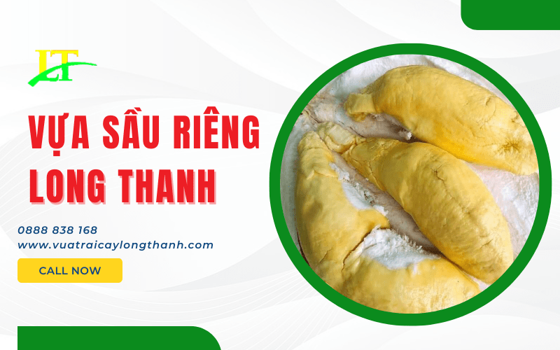 Vựa Sầu Riêng Long Thanh