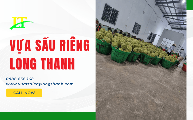 Vựa Sầu Riêng Long Thanh